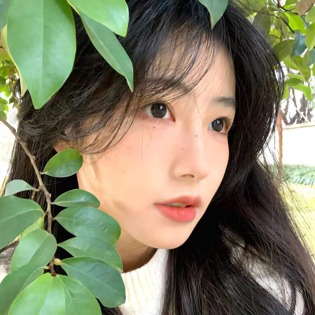 危险物种封面