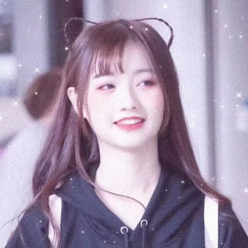 我的大明星封面