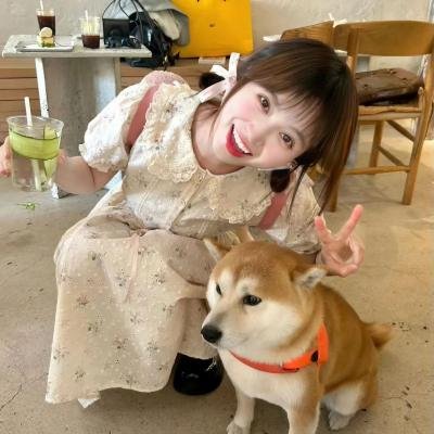 柳绿花红封面